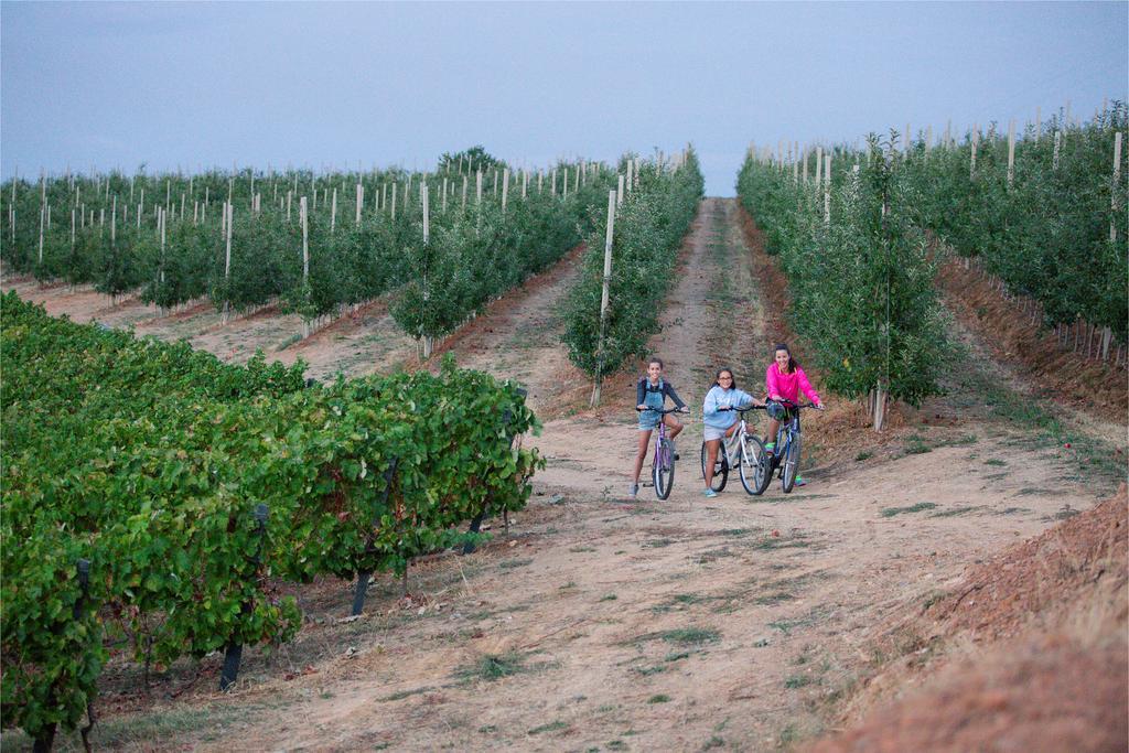Quinta Da Barroca Douro Valley Armamar Zewnętrze zdjęcie