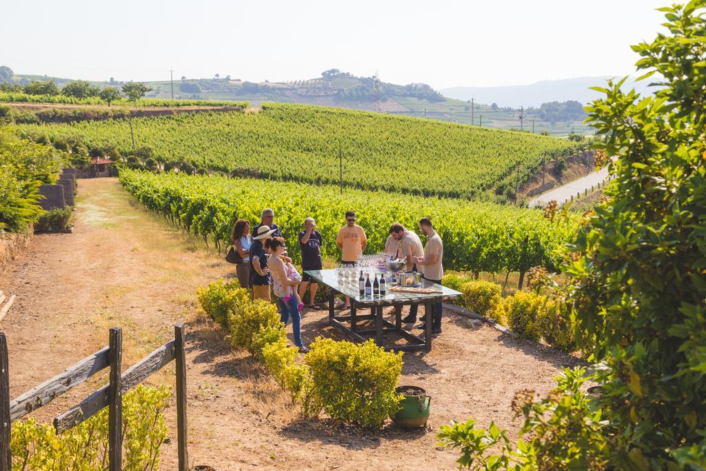 Quinta Da Barroca Douro Valley Armamar Zewnętrze zdjęcie