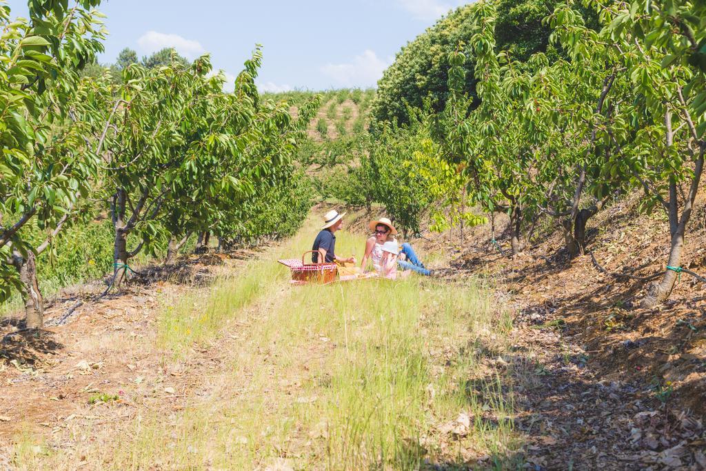 Quinta Da Barroca Douro Valley Armamar Zewnętrze zdjęcie